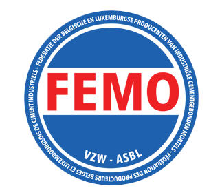 logo Femo